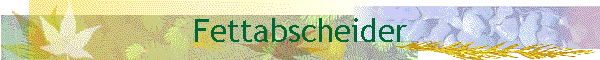 Fettabscheider Spüldienst Spülservice Fettabscheider Spüldienst Spülservice